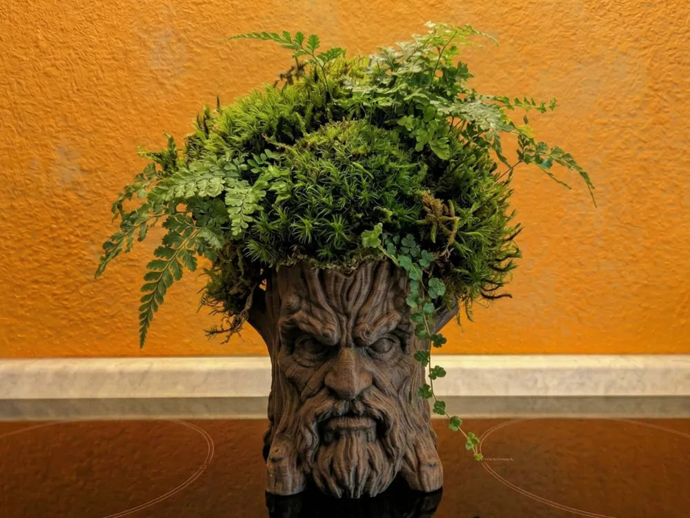 Vaso árvore com cara