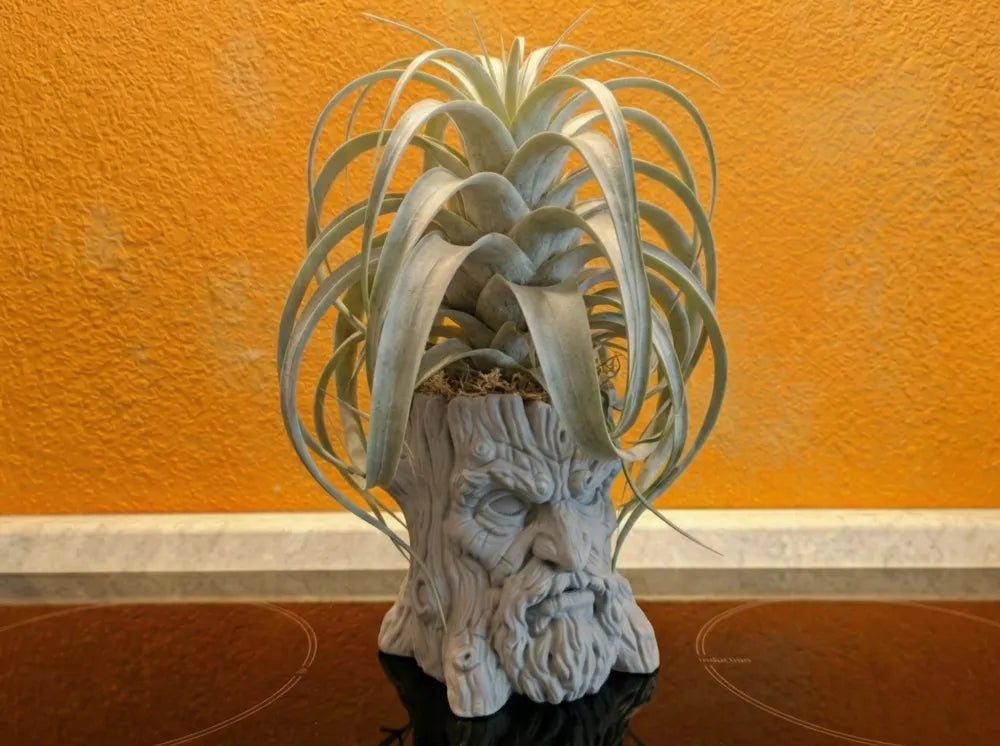 Vaso árvore com cara