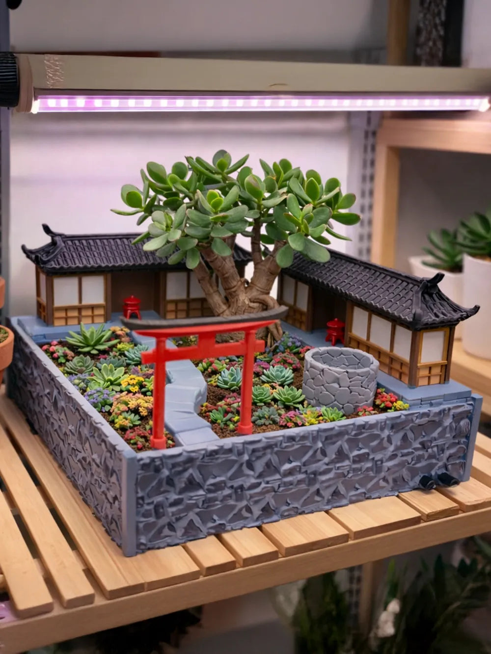 Plantação japonesa