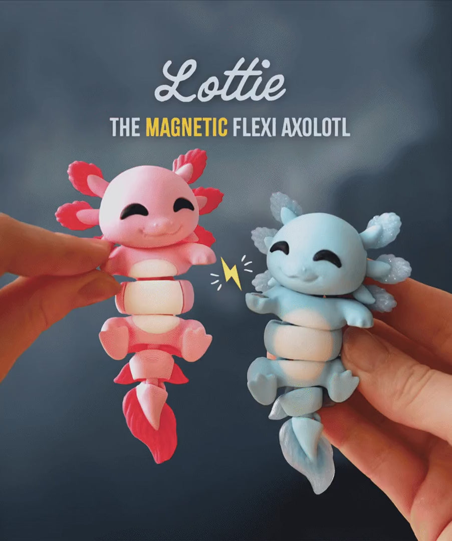 Lottie - porta-chaves flexível